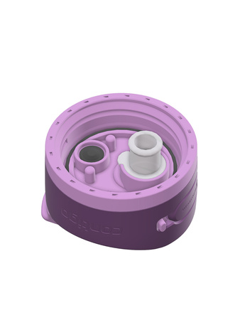 Bouteille isotherme Contigo Ashland 2.0 Chill 720 ml - Violet - Avec votre gravure